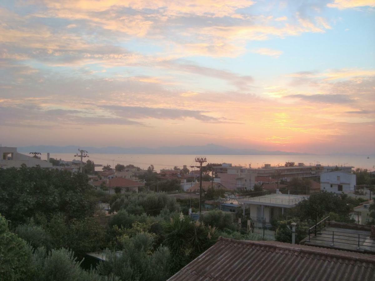 Villa Smile House Near Athens Airport 300M From The Sea Artemida  Exterior foto