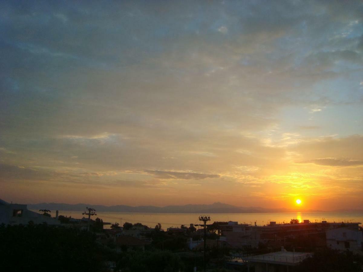 Villa Smile House Near Athens Airport 300M From The Sea Artemida  Exterior foto