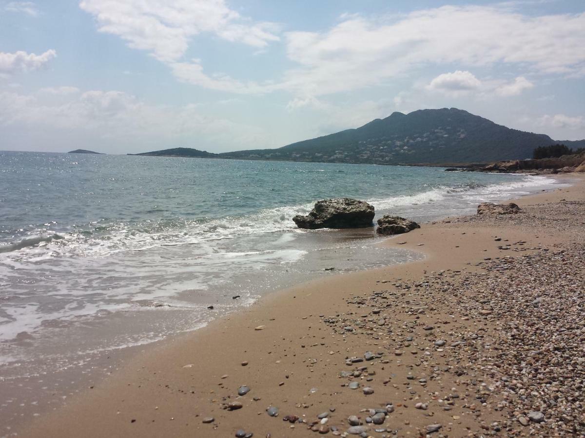 Villa Smile House Near Athens Airport 300M From The Sea Artemida  Exterior foto