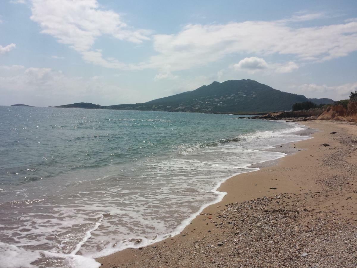 Villa Smile House Near Athens Airport 300M From The Sea Artemida  Exterior foto
