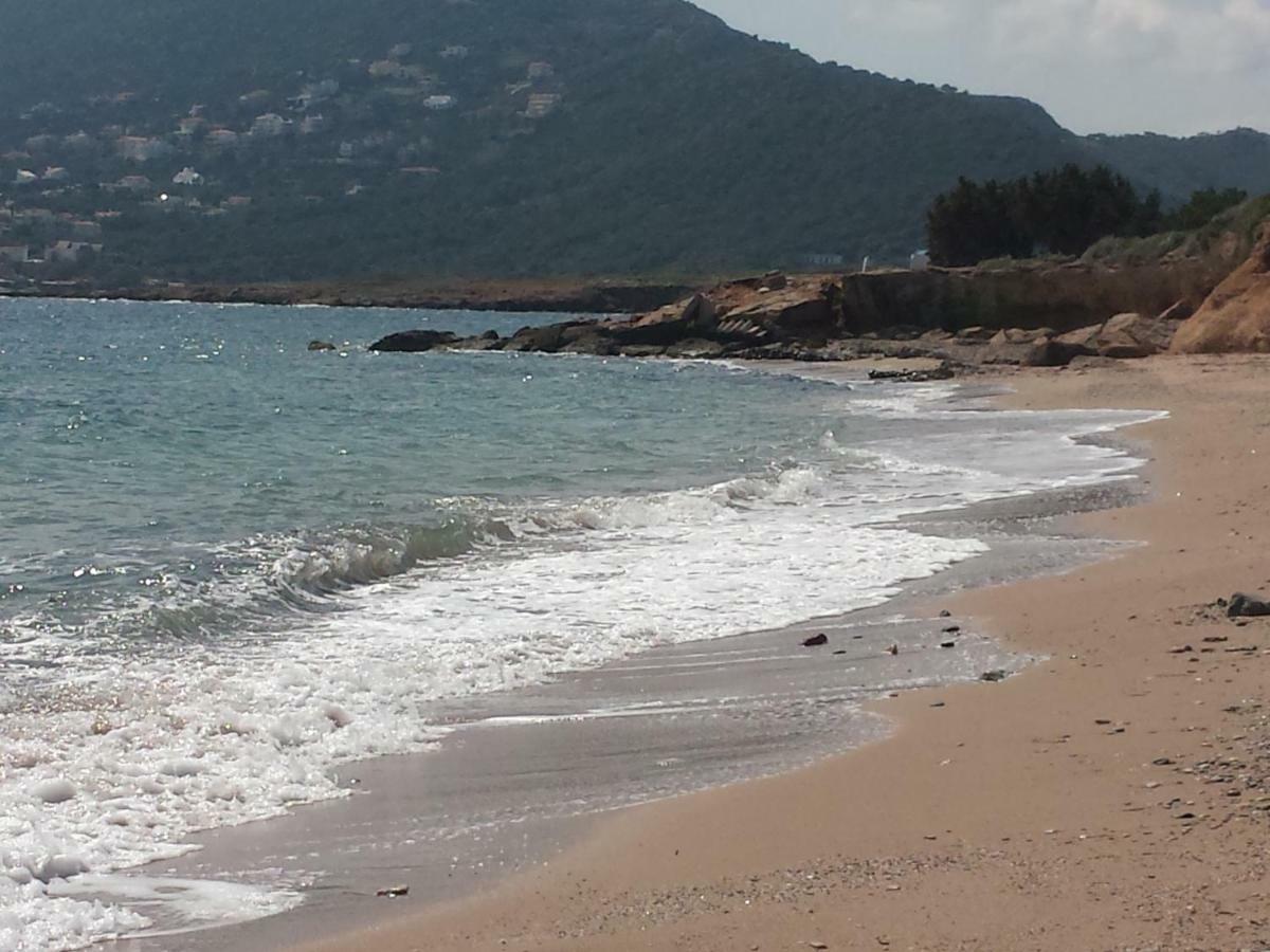 Villa Smile House Near Athens Airport 300M From The Sea Artemida  Exterior foto